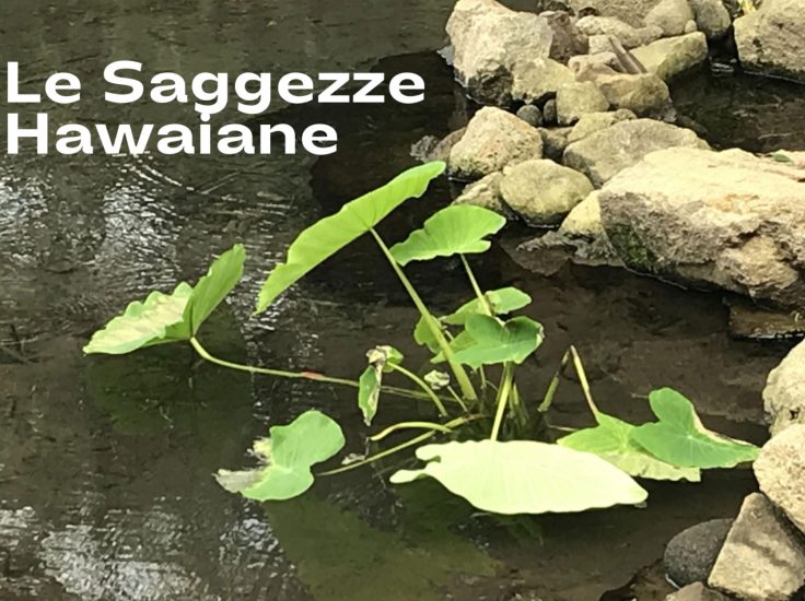 CORSO-SAGGEZZE-1536×1090 CORSO-SAGGEZZE-1536x1090